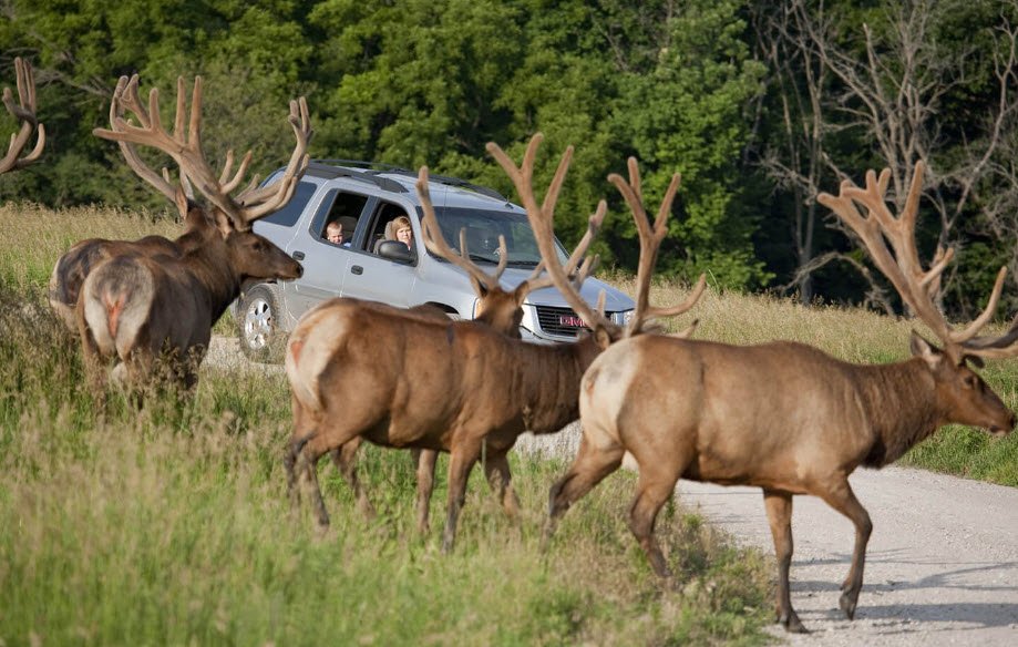 Wildlife Safari Park, Nebraska, USA